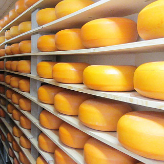 Экспорт сыров и творога в первом полугодии 2020 года увеличился на 12%