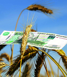 РФ расширяет возможности экспорта: дополнительная квота на зерно утверждена