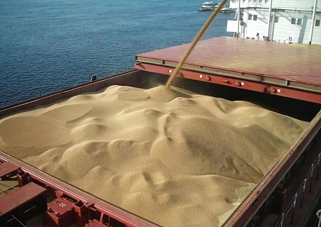 Темпы экспорта зерна падают, ВТБ хочет построить еще один зерновой терминал