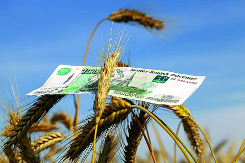 РФ расширяет возможности экспорта: дополнительная квота на зерно утверждена